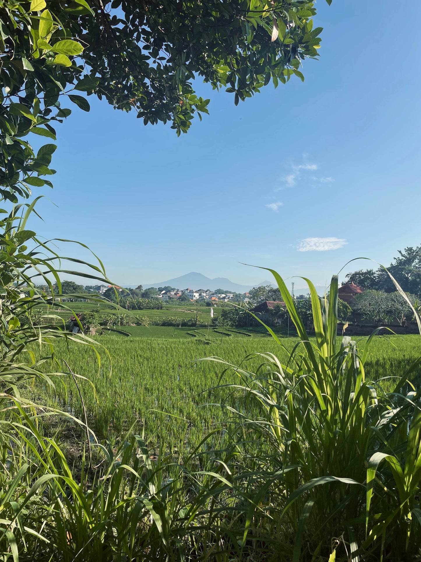 Wandelroute in Canggu (gratis)