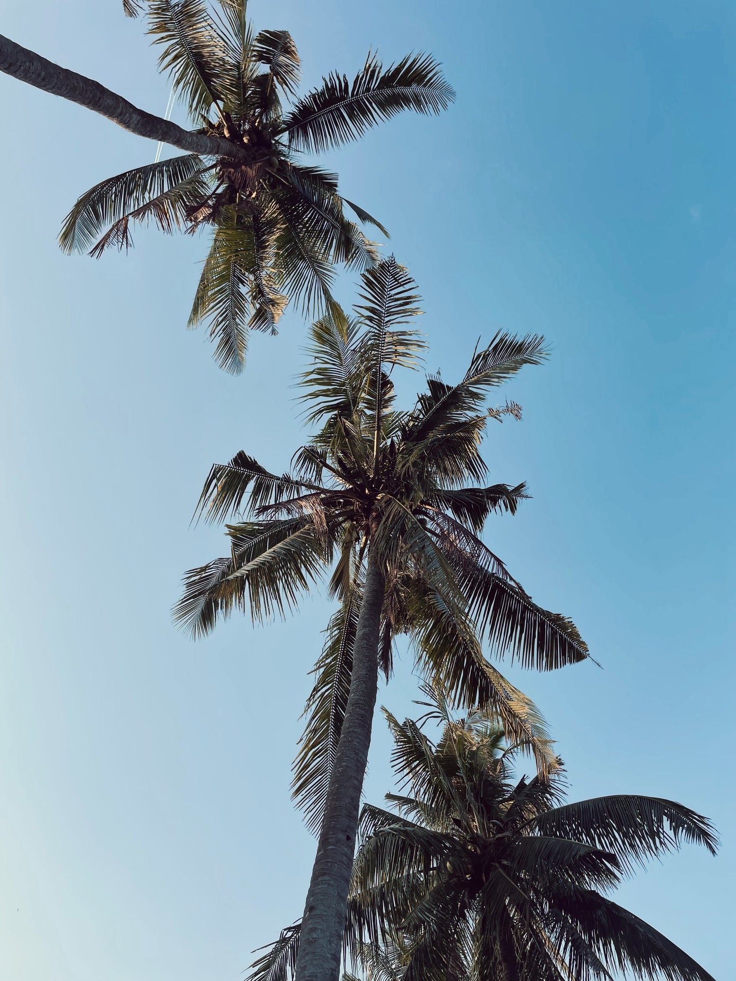 bali wallpaper